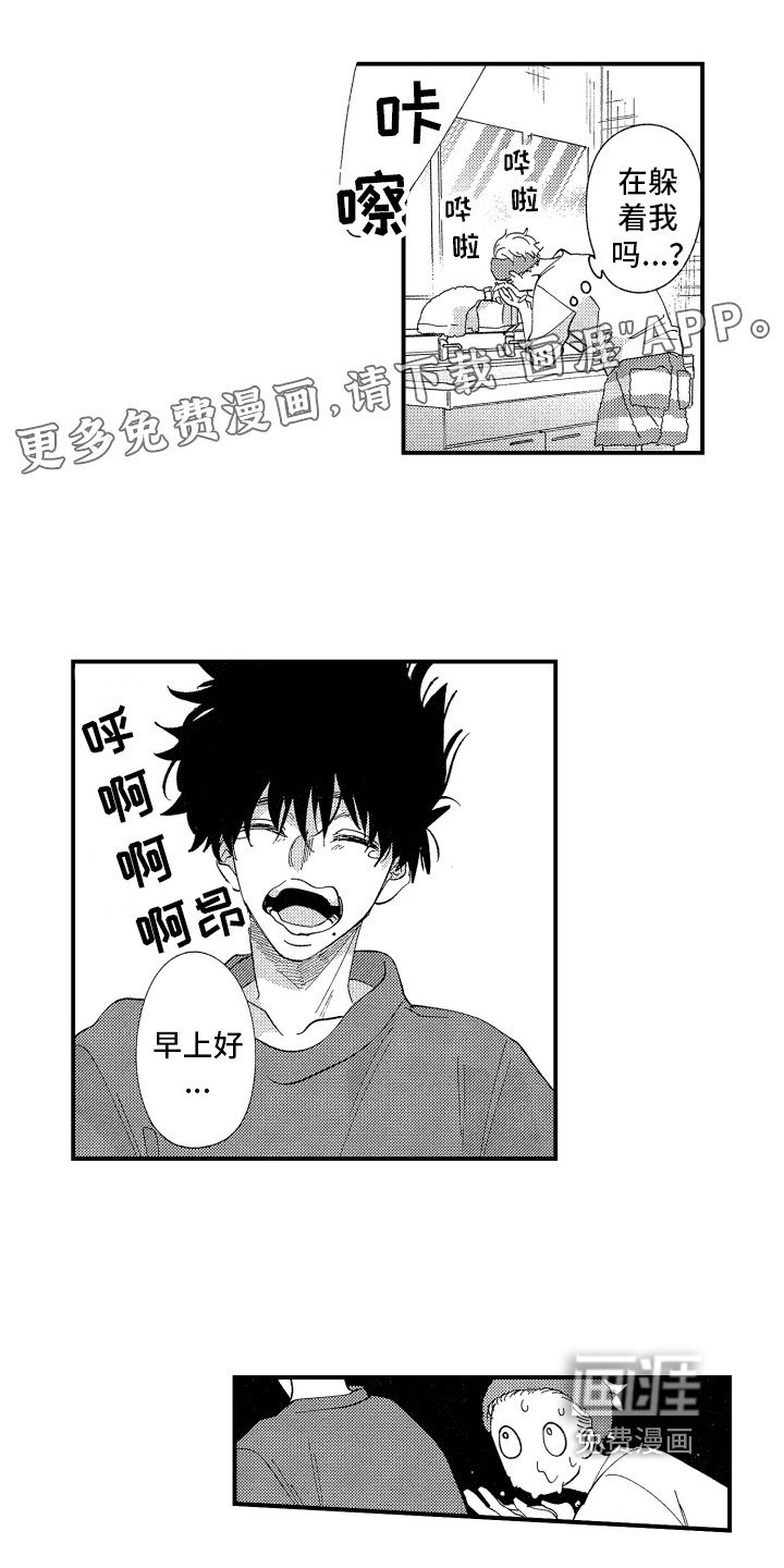 第5章：关注