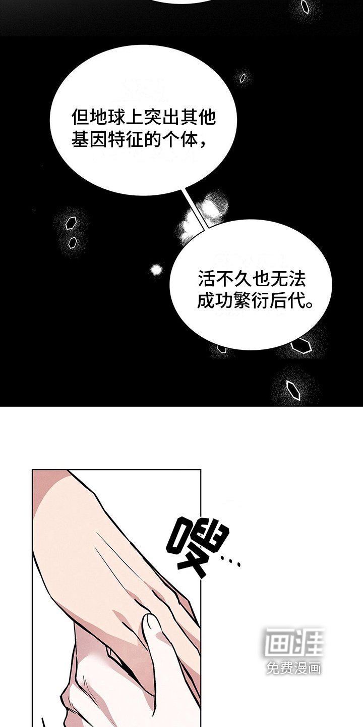 第23章：解释