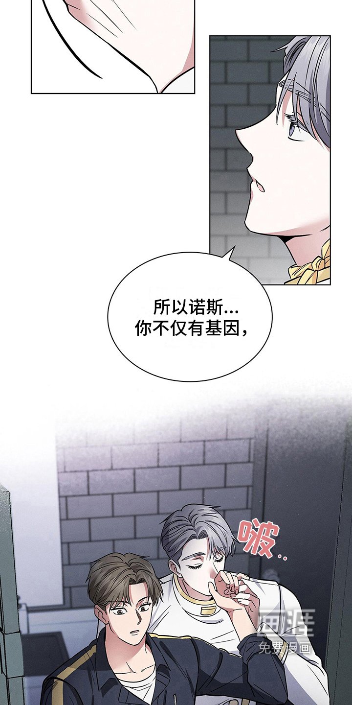 第23章：解释