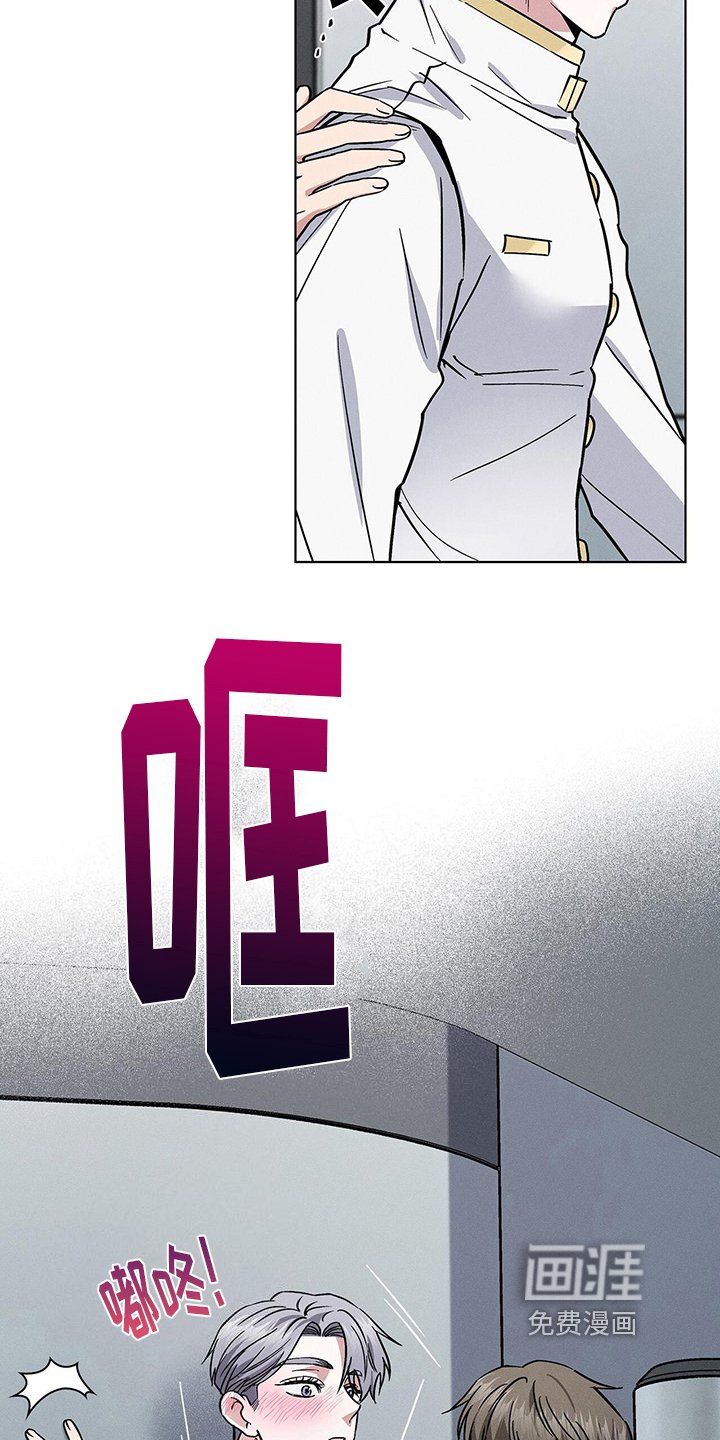 第26章：处置