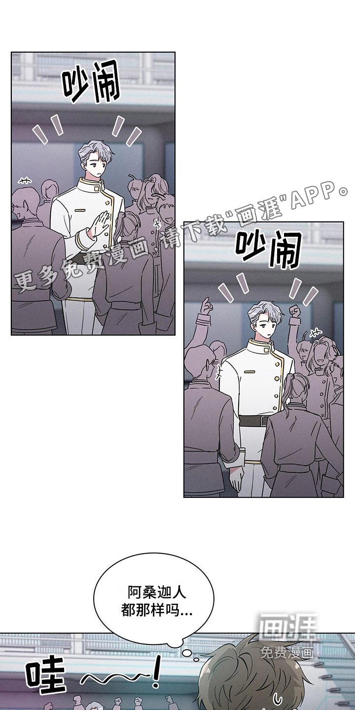 第4章：注视