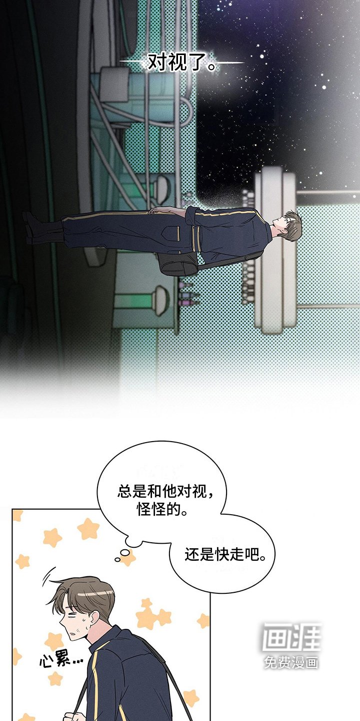 第4章：注视