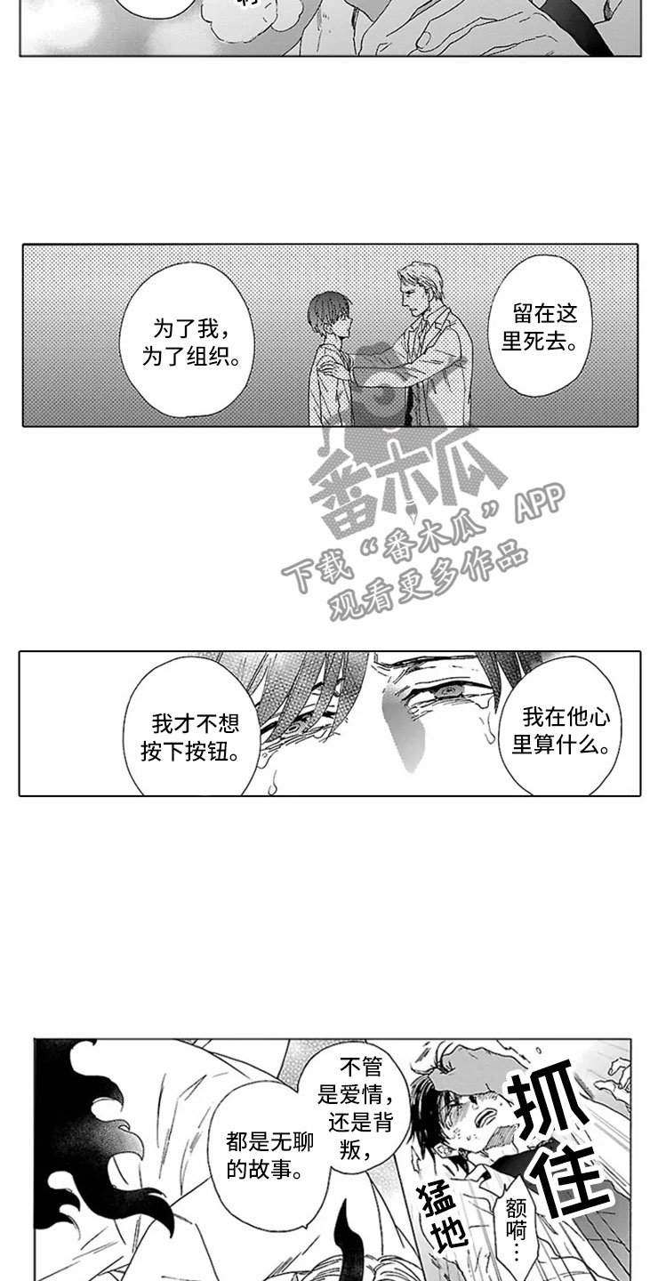 第13章：试验