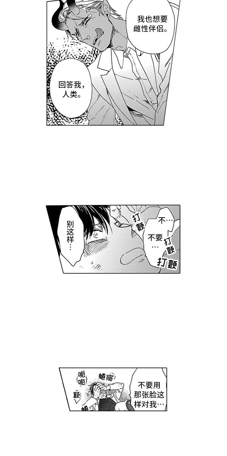 第13章：试验