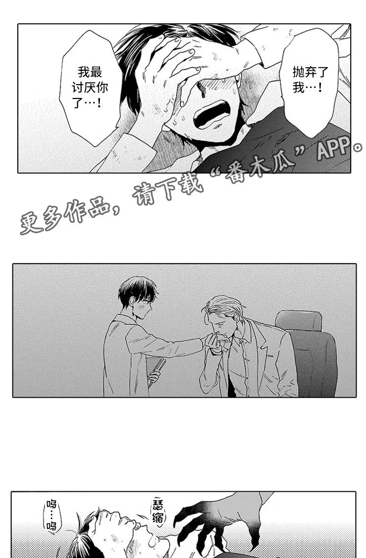 第13章：试验