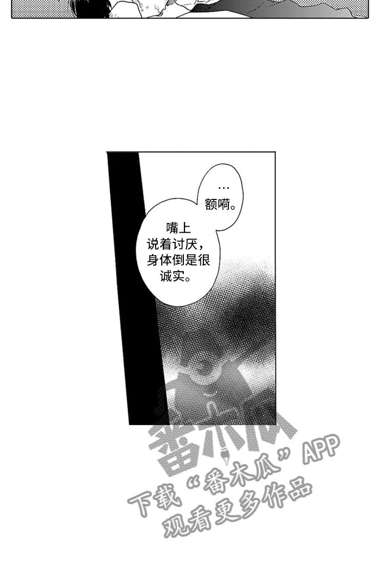 第13章：试验