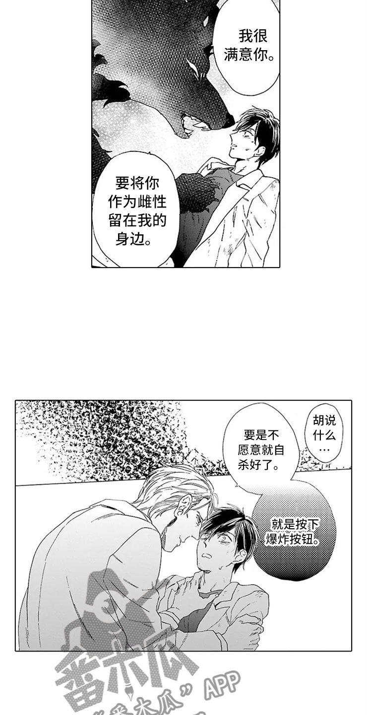 第14章：决心