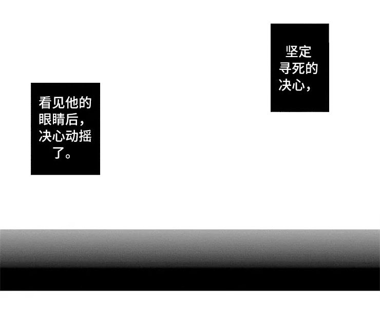 第16章：动摇