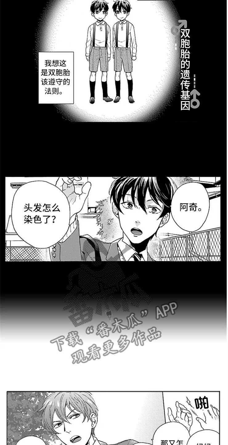 第5章：双胞胎兄弟