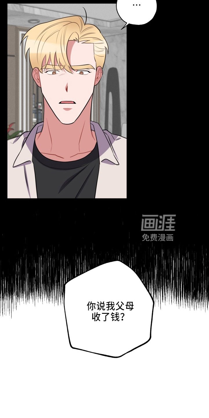 第37章：真相