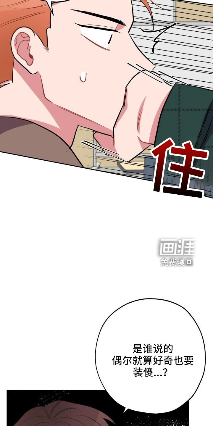 第50章：一起回家