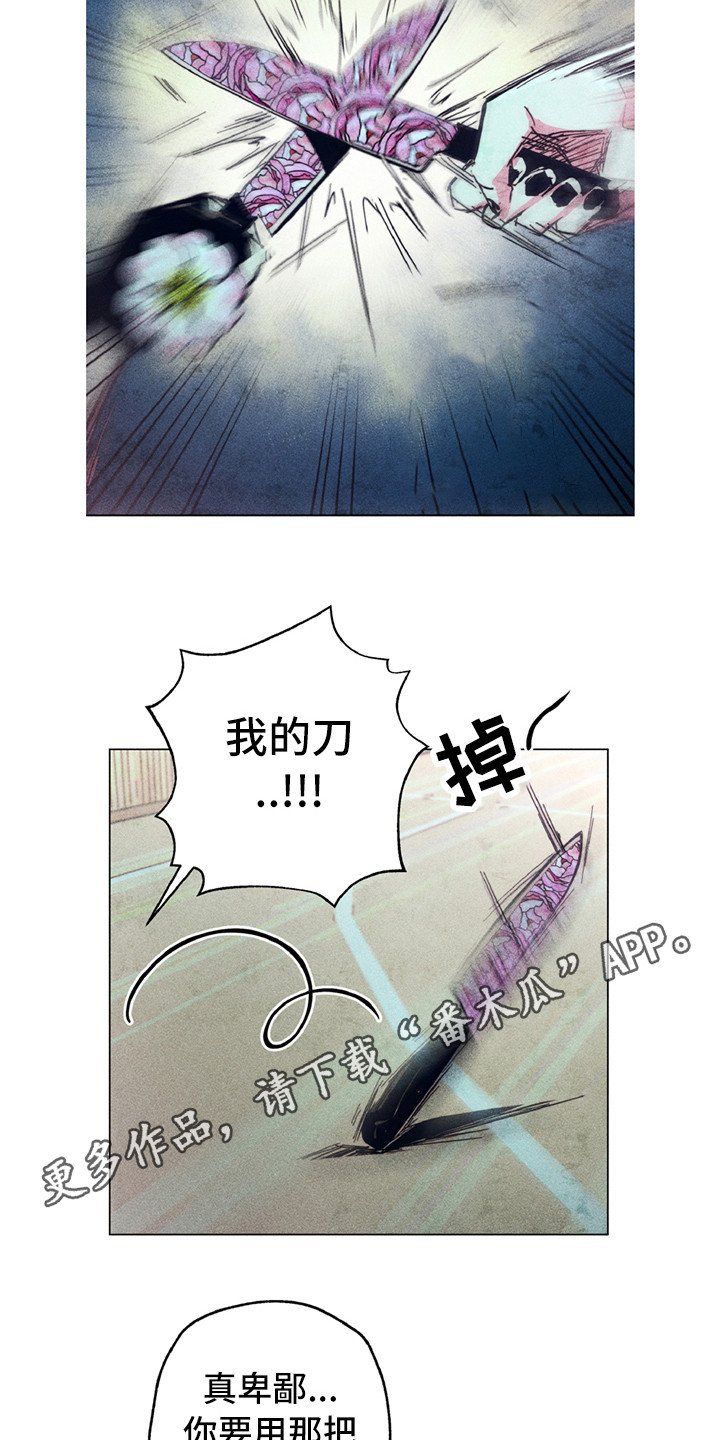 第10章：共同守护（完结）