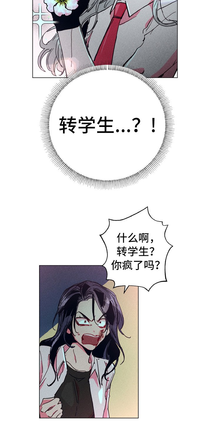 第2章：铲除暴力