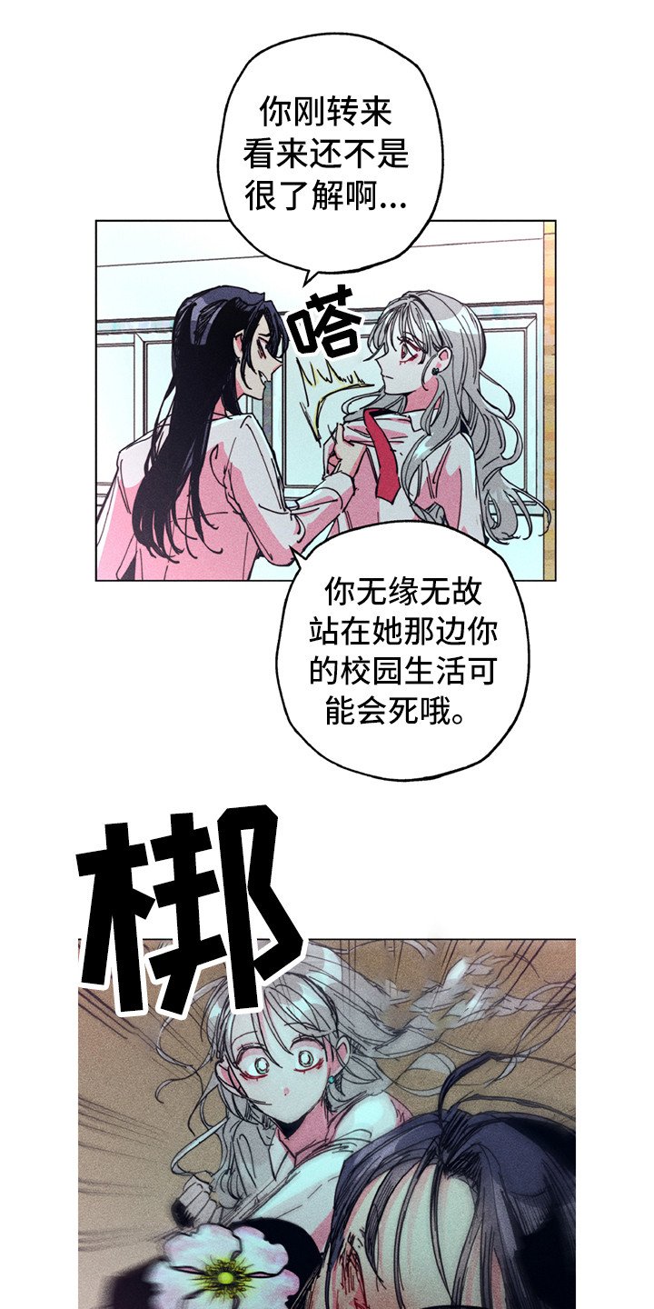 第2章：铲除暴力