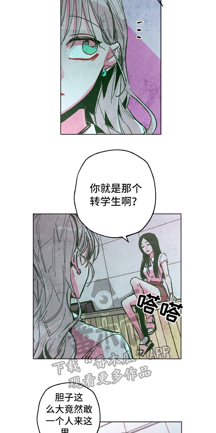 第7章：踢场子