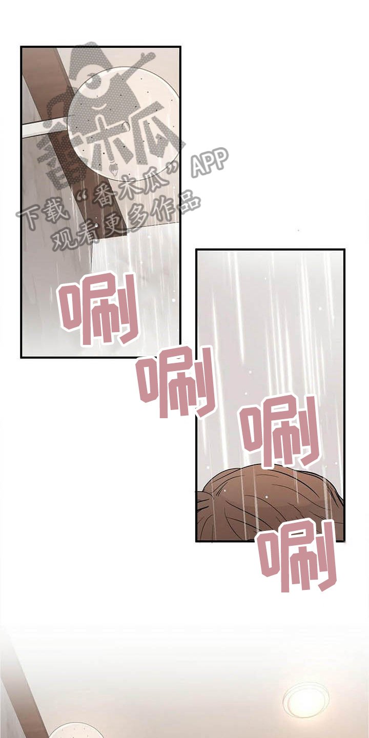 第17章：喂食