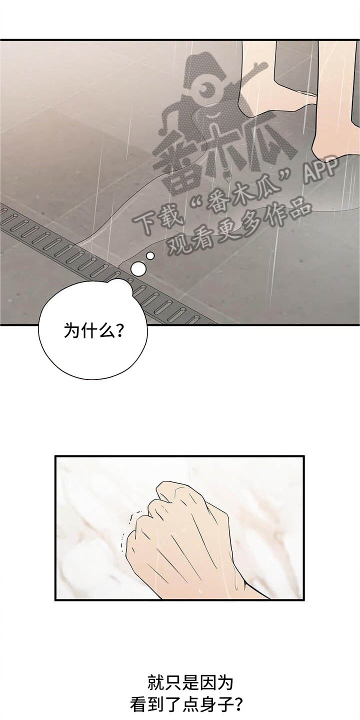 第17章：喂食
