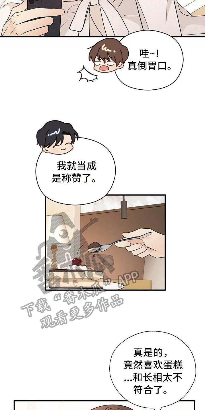 第17章：喂食