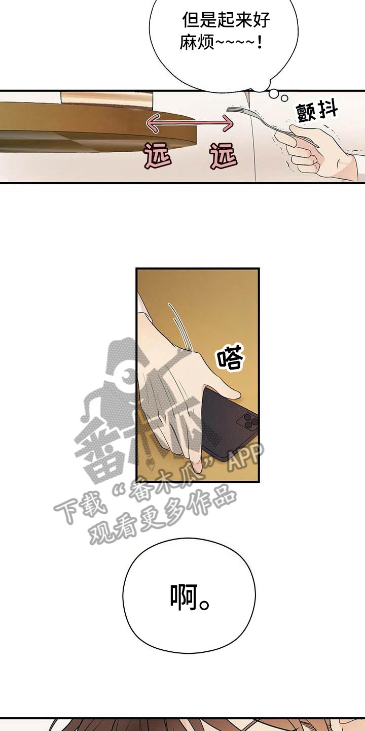 第17章：喂食
