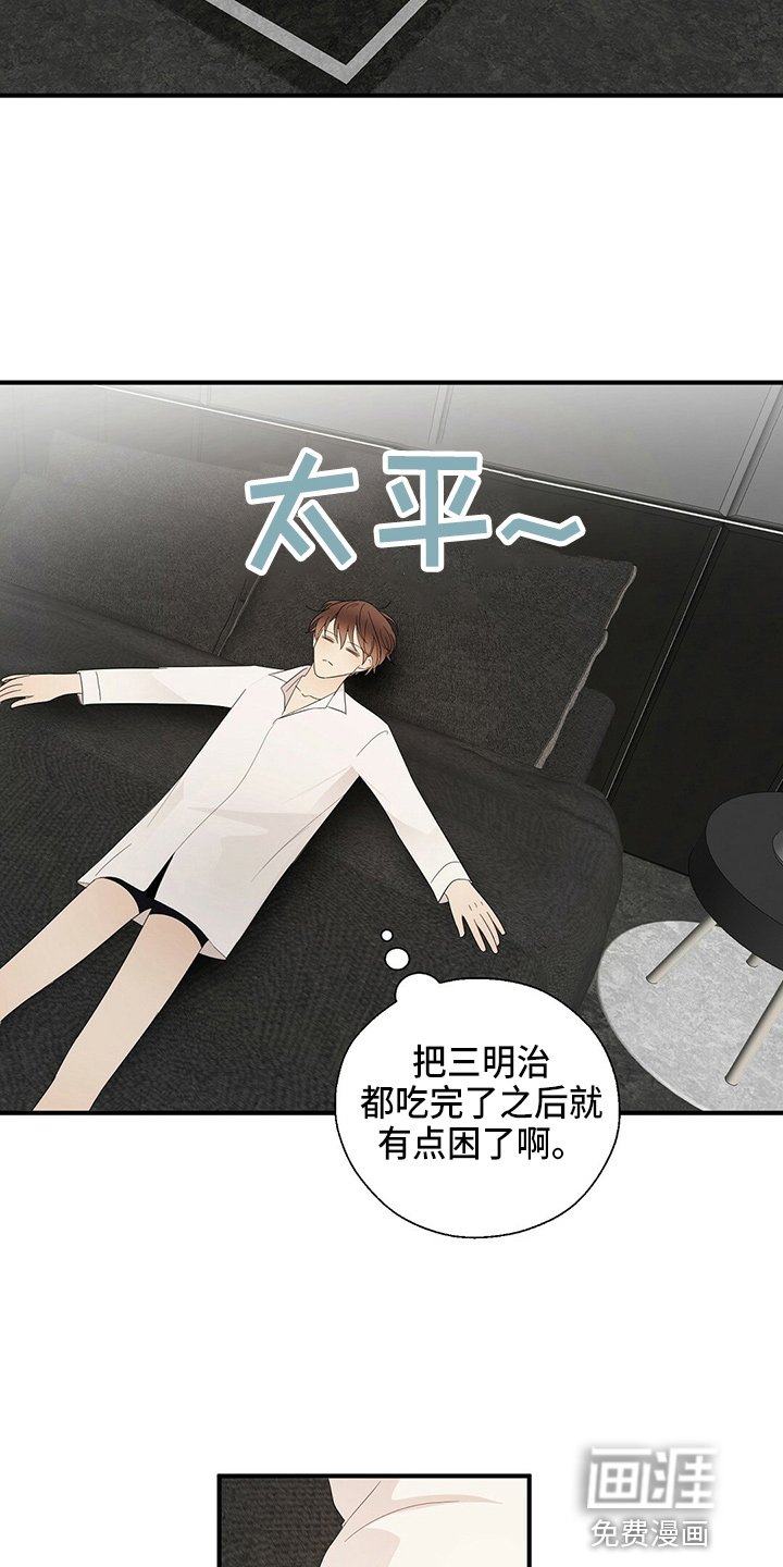 第29章：画画