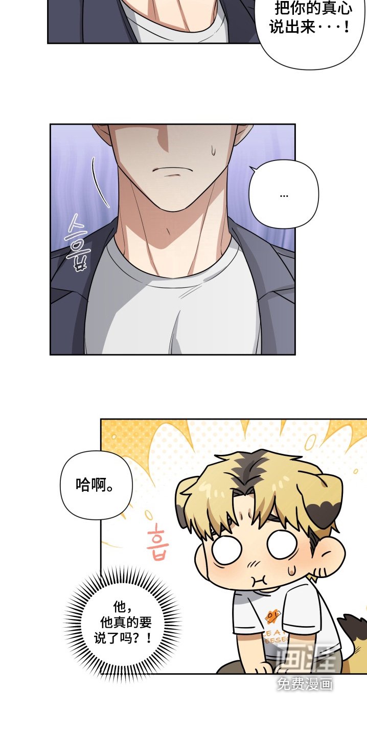 第13章：太对不起了