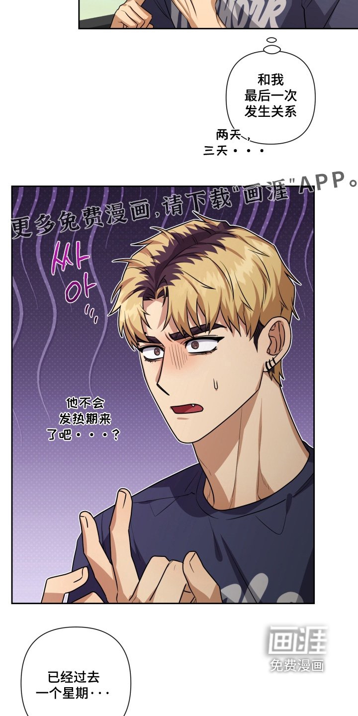第19章：不能怀疑他
