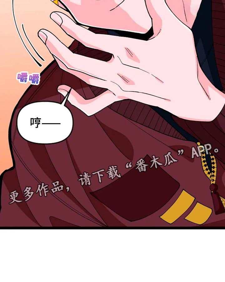第22章：说明