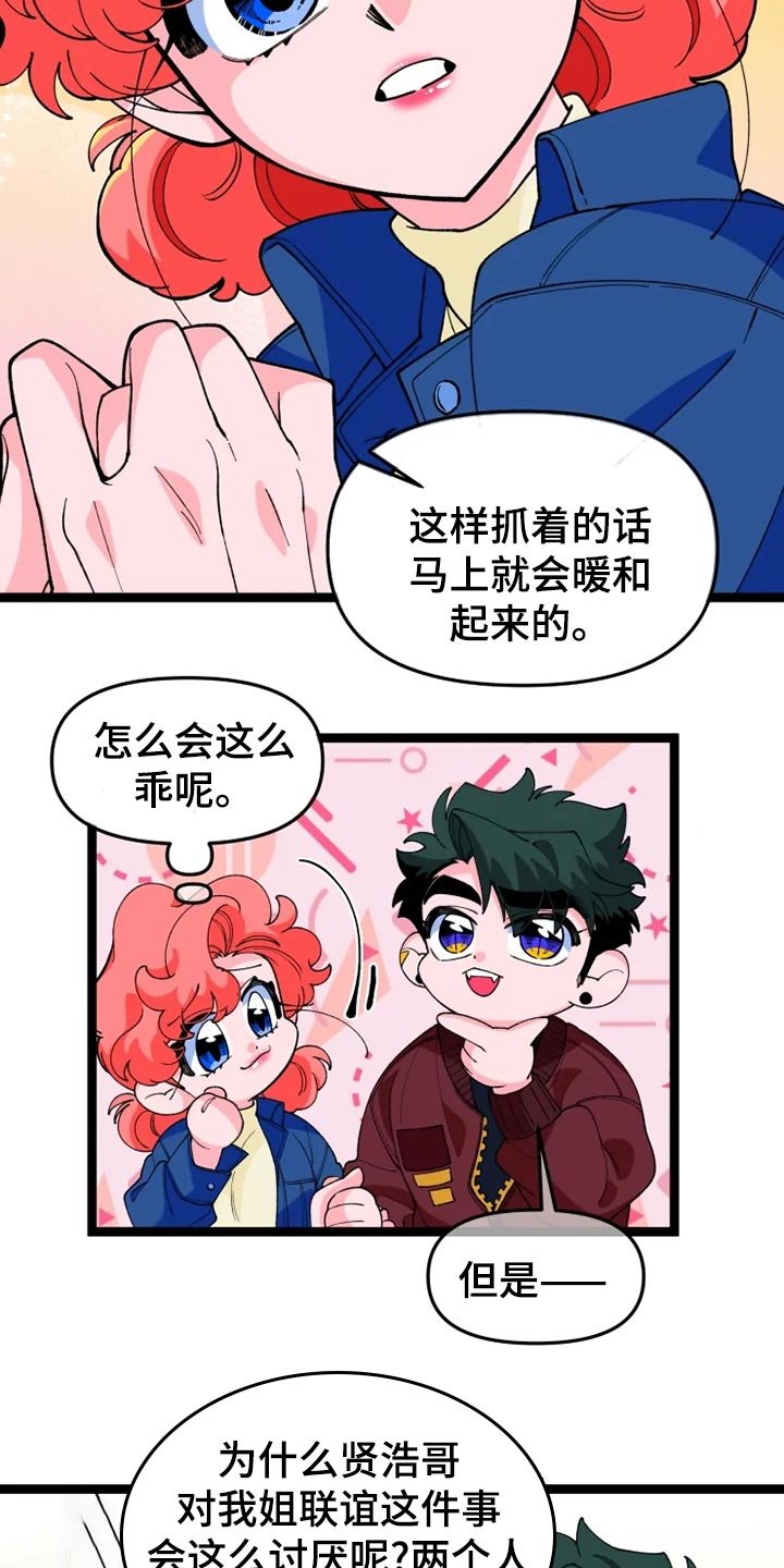 第22章：说明