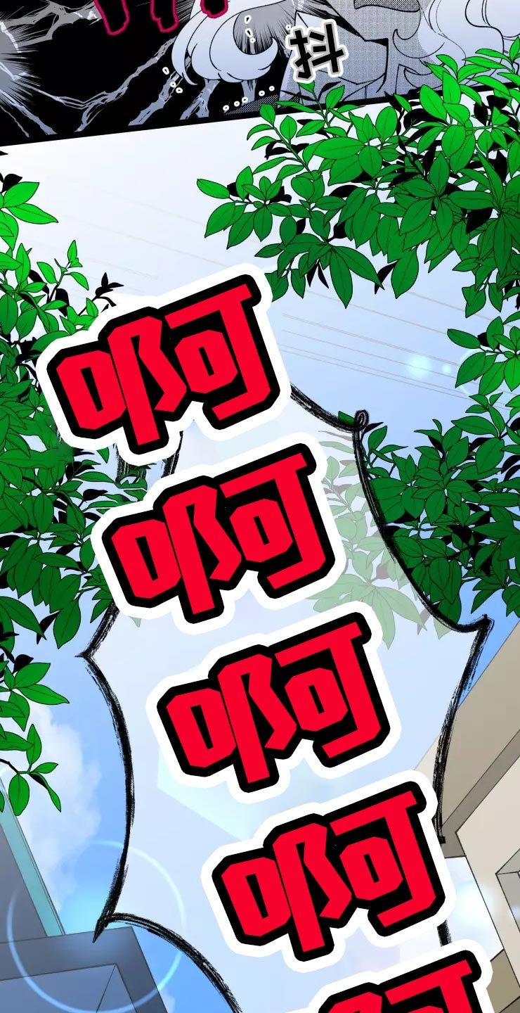第29章：收藏品