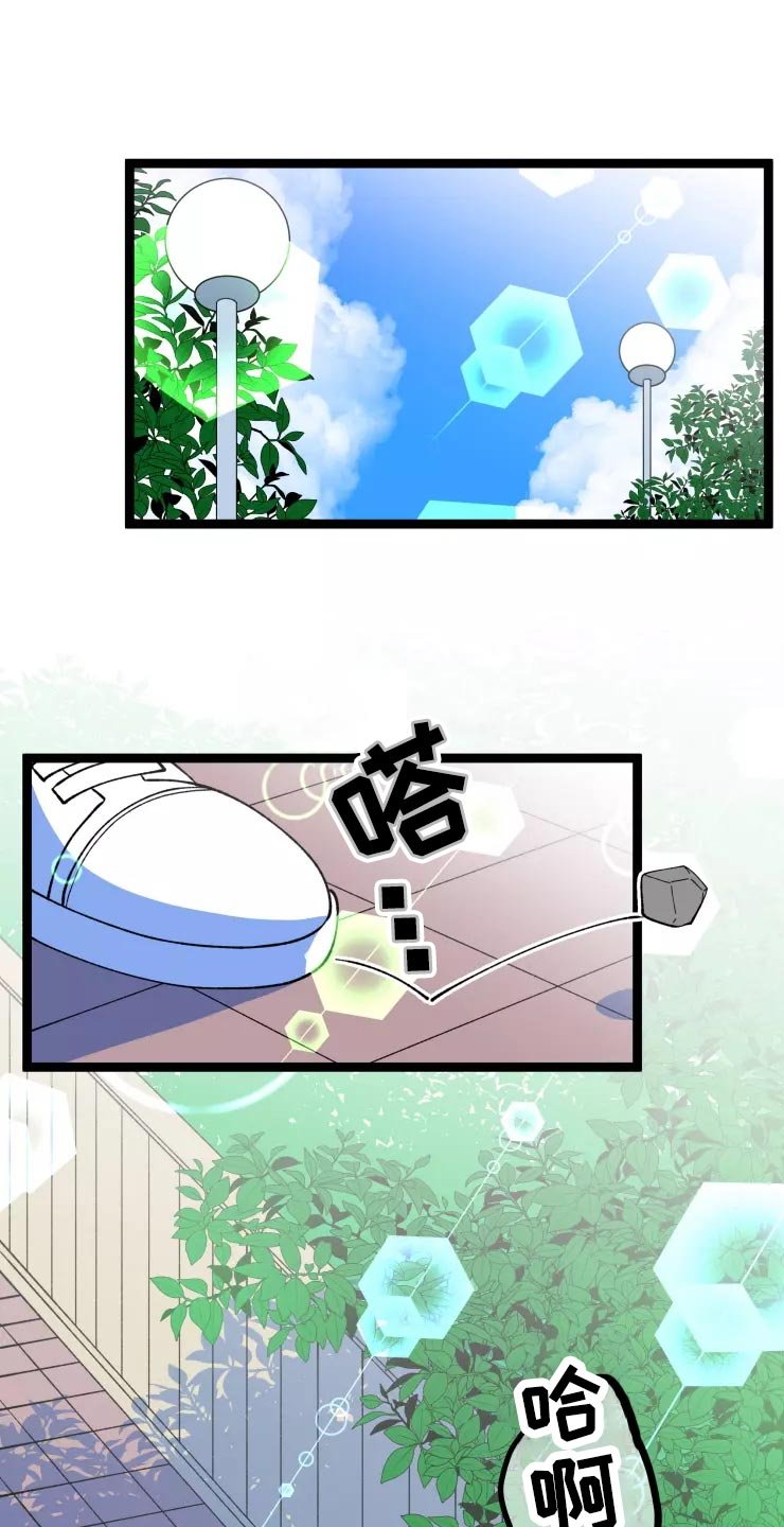 第29章：收藏品