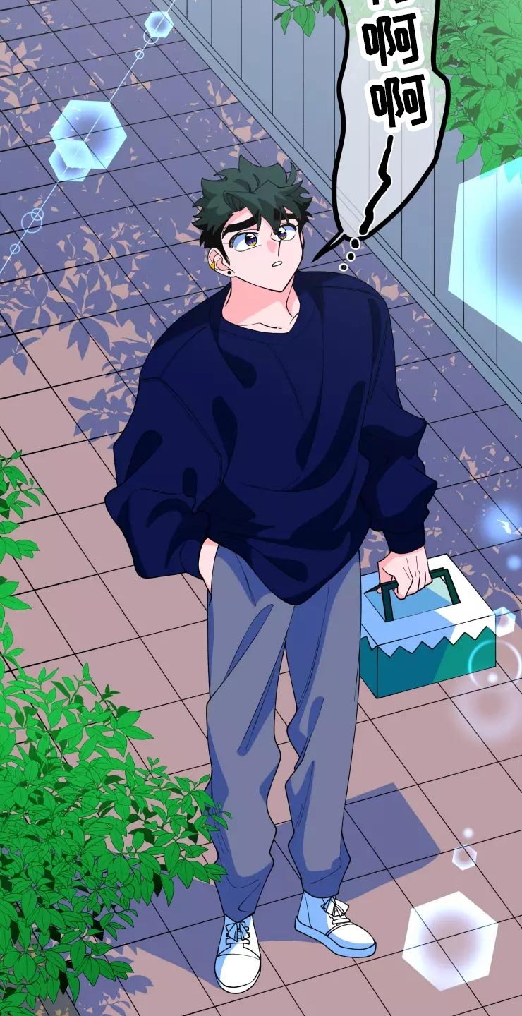 第29章：收藏品