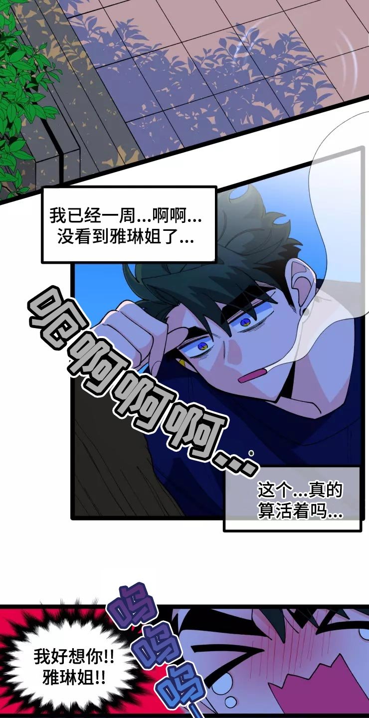 第29章：收藏品