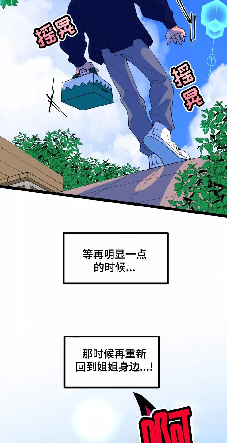 第29章：收藏品