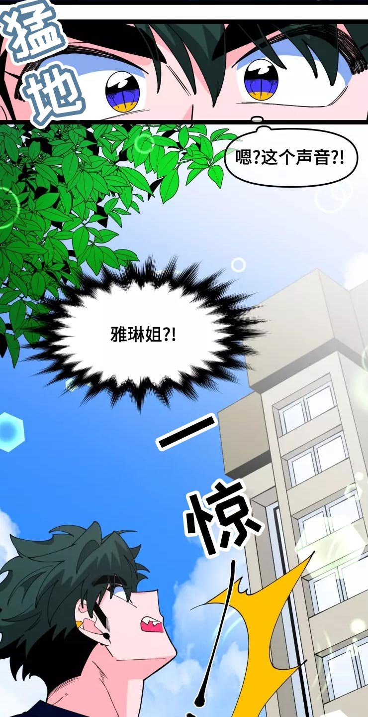 第29章：收藏品