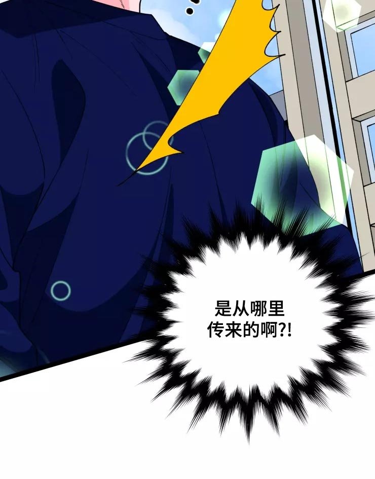 第29章：收藏品