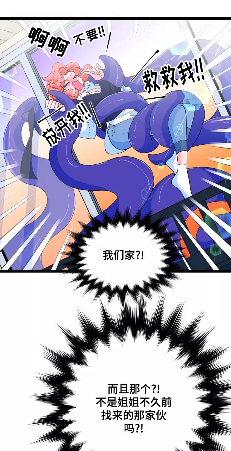 第29章：收藏品