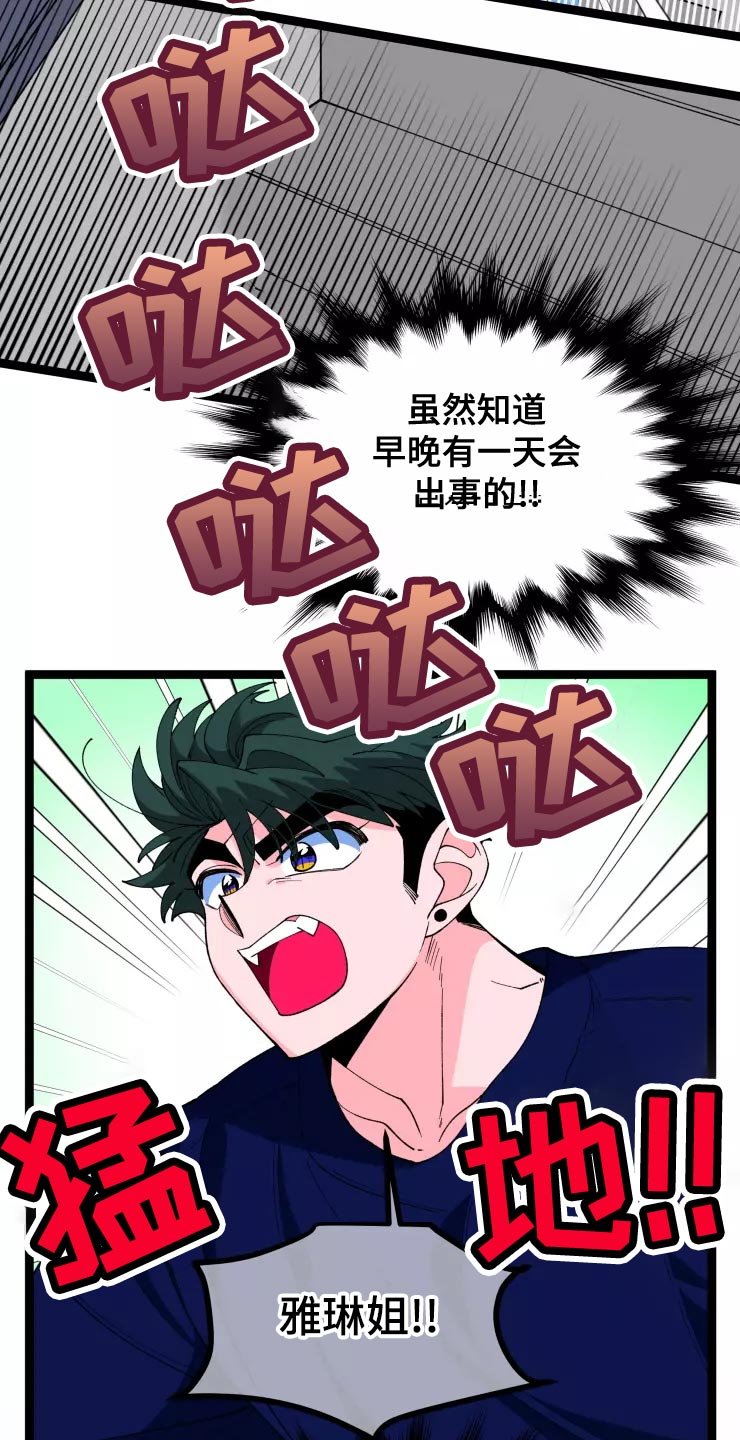 第29章：收藏品