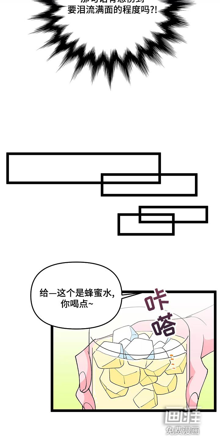 第41章：告白
