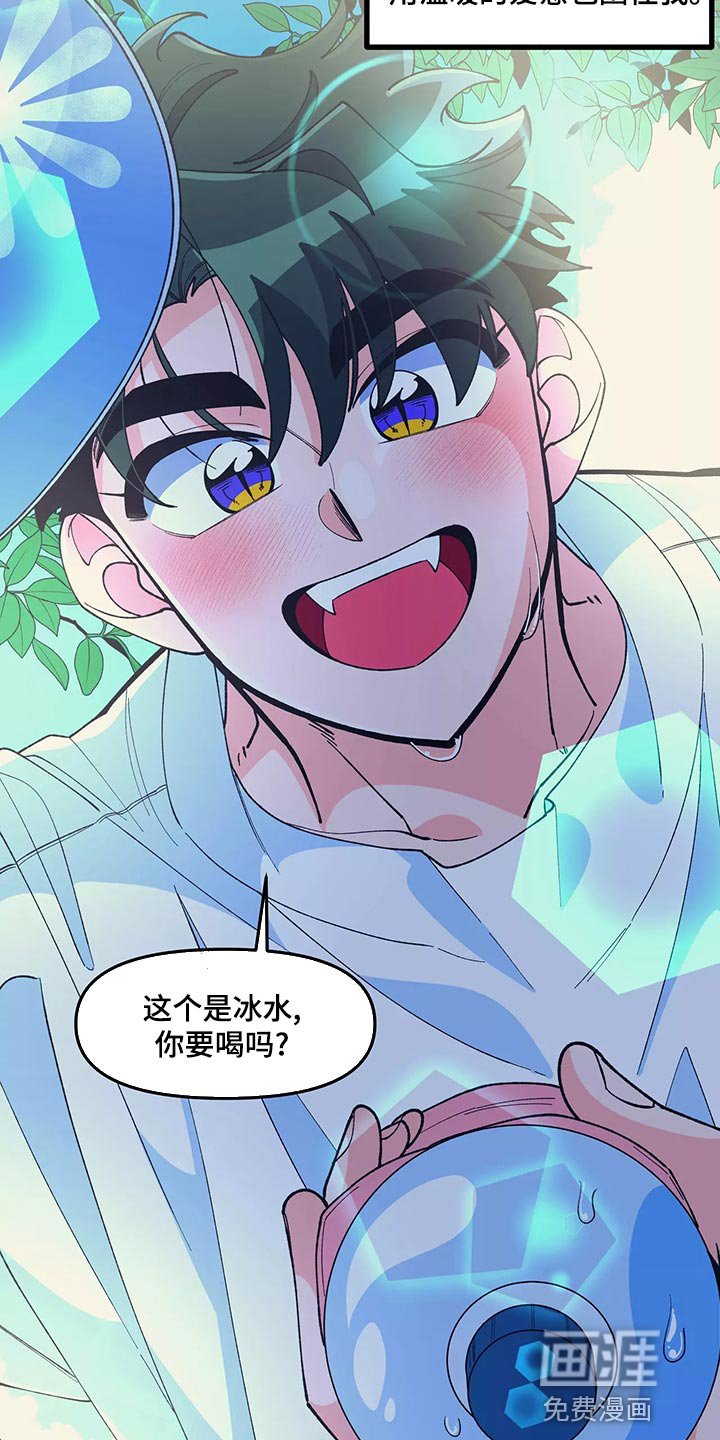 第41章：告白