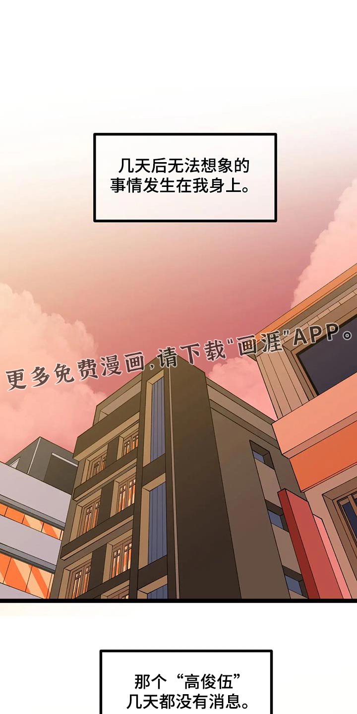 第49章：【番外】小猫