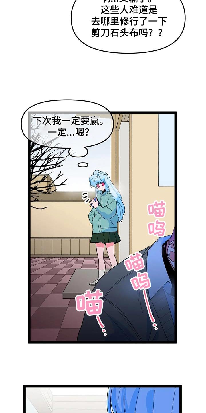 第49章：【番外】小猫