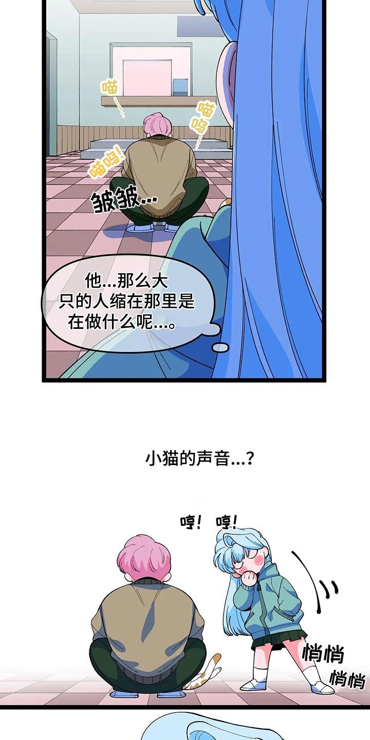第49章：【番外】小猫