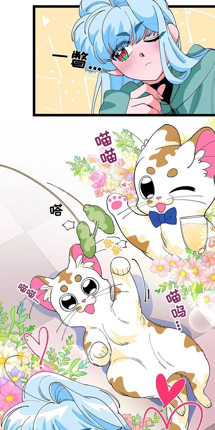 第49章：【番外】小猫