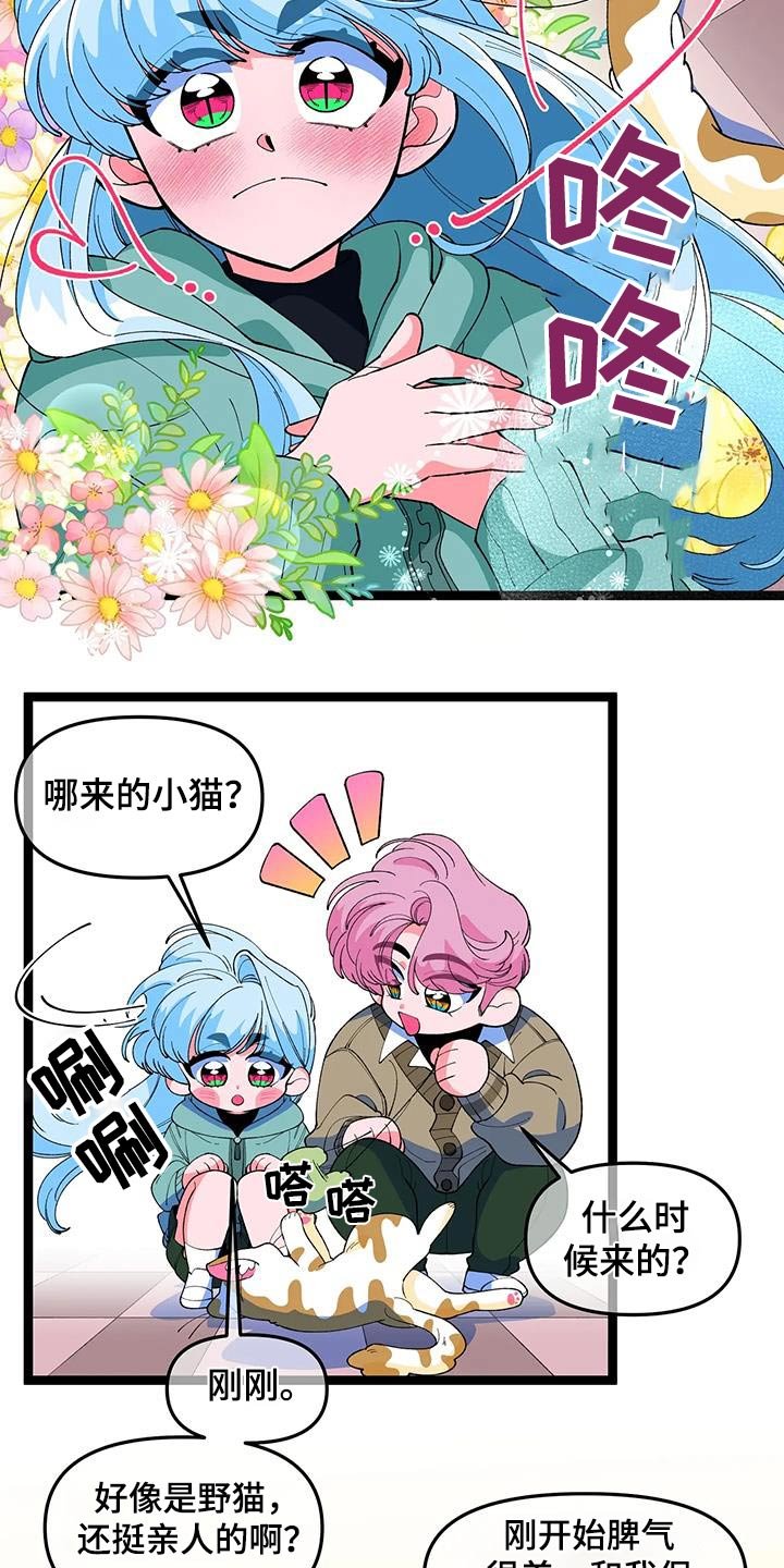 第49章：【番外】小猫