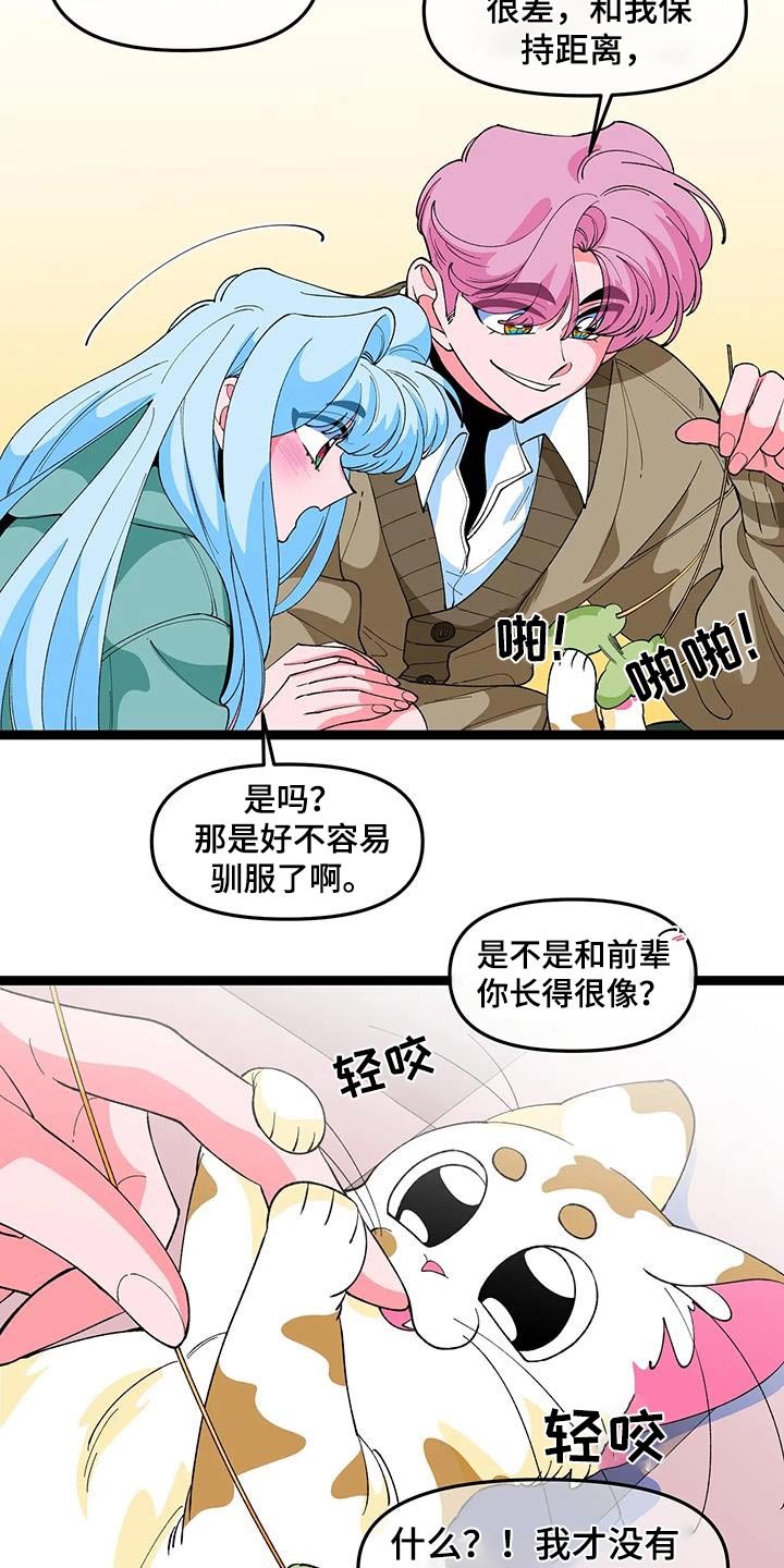 第49章：【番外】小猫
