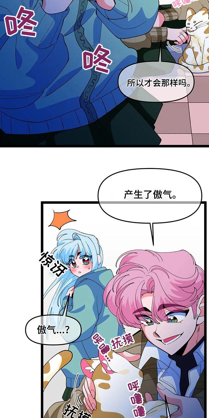 第49章：【番外】小猫