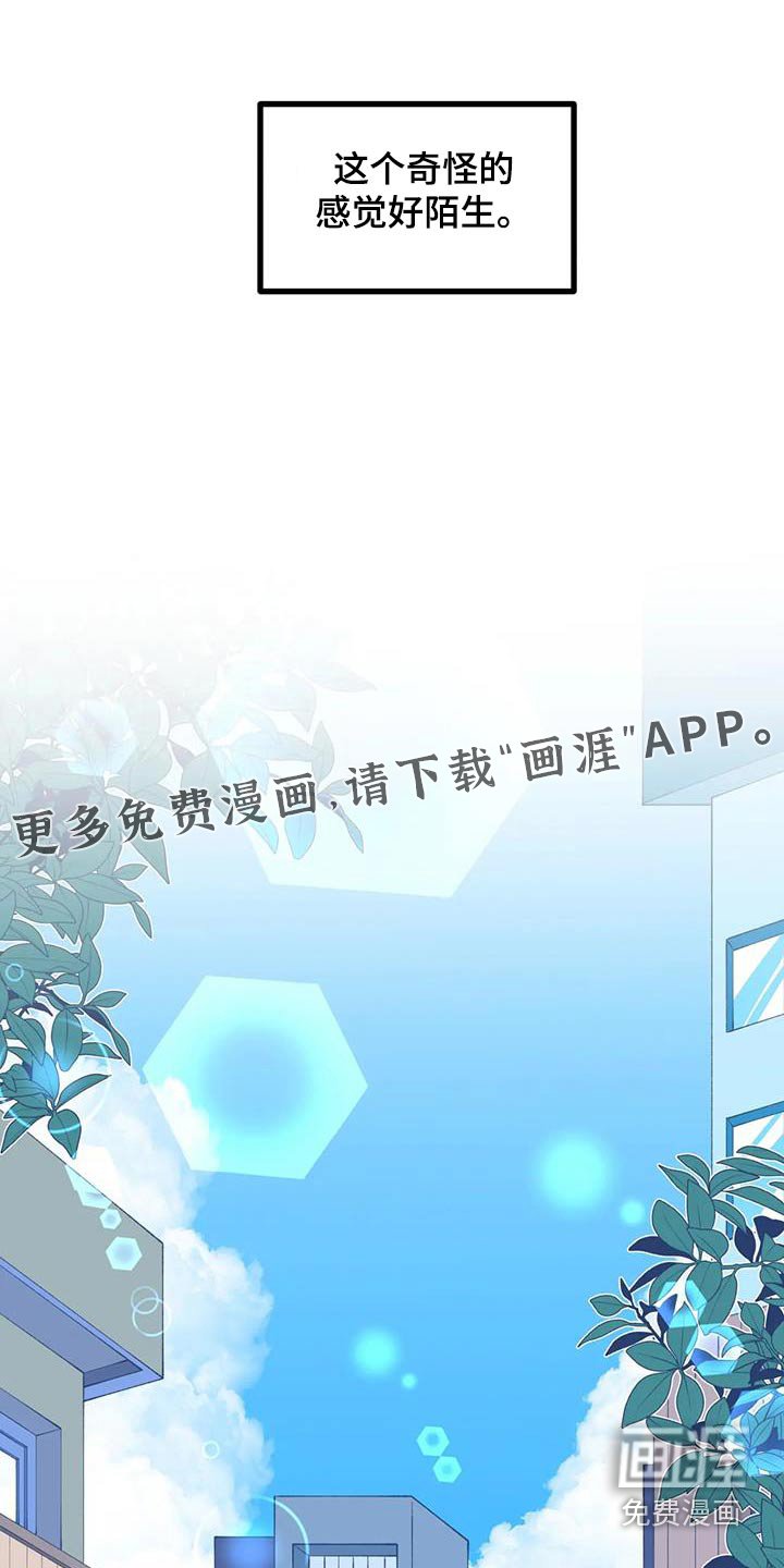 第54章：【番外】野餐