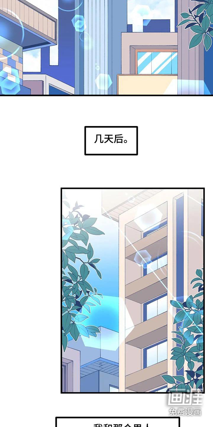 第54章：【番外】野餐