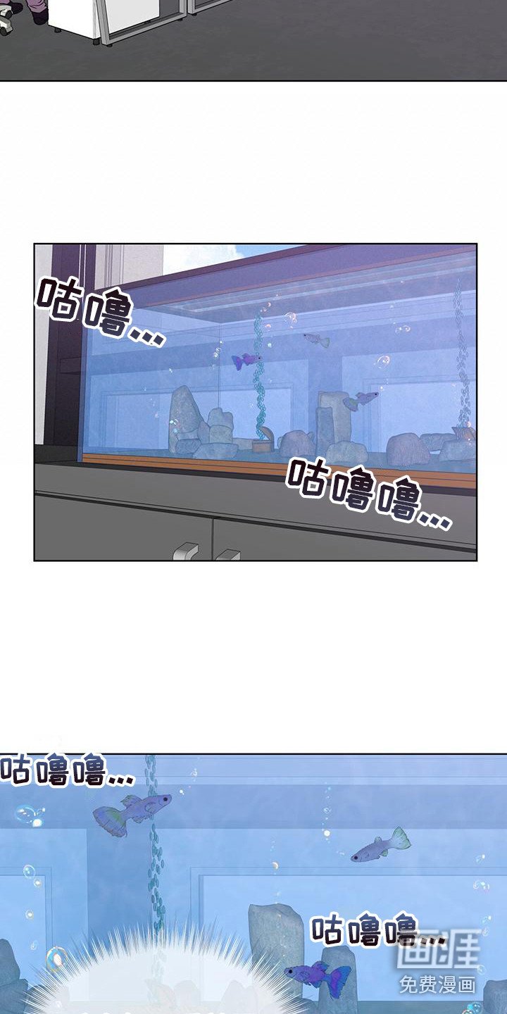 第13章：4K公司