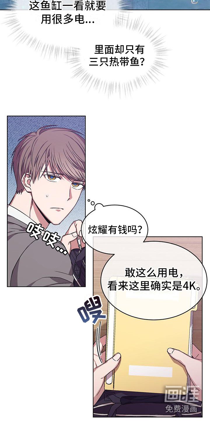 第13章：4K公司